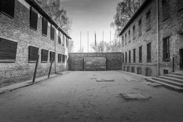 Auschwitz Birkenau Polonia Enero 2022 Muro Muerte Del Campo Concentración —  Fotos de Stock