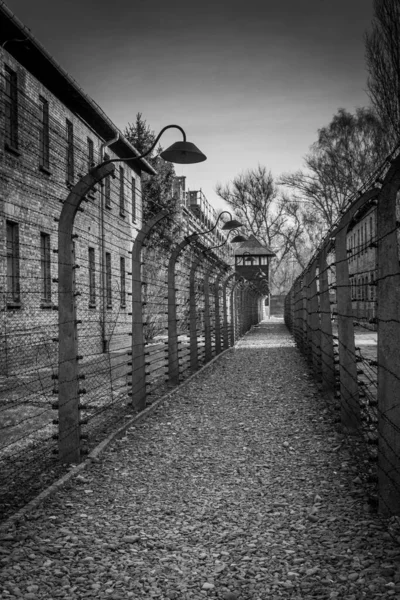 Auschwitz Birkenau Poland Hazi Ran 2022 Auschwitz Naziler Toplama Kampı — Stok fotoğraf
