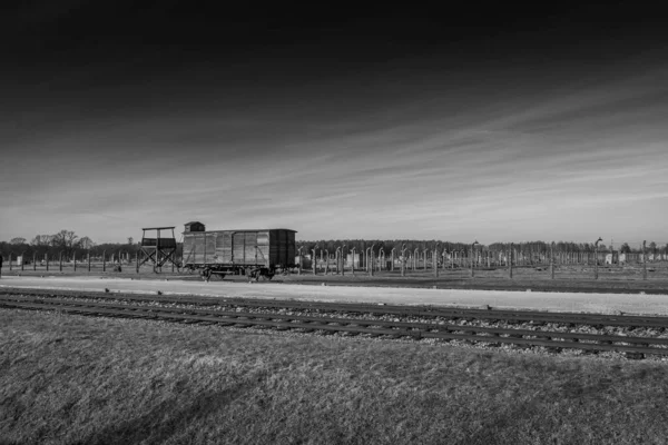 Auschwitz Birkenau Polonia Enero 2022 Tren Real Utilizado Por Los —  Fotos de Stock