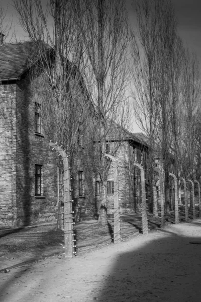 Auschwitz Birkenau Polonia Enero 2022 Cuartel Alambre Del Campo Concentración —  Fotos de Stock