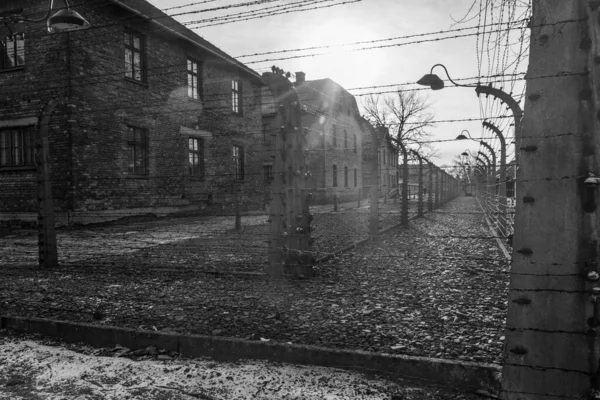 Auschwitz Birkenau Polonia Enero 2022 Cuartel Alambre Del Campo Concentración —  Fotos de Stock