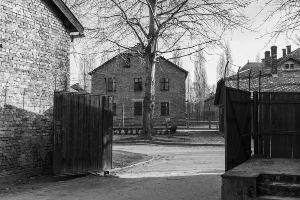 Auschwitz Birkenau Polónia Janeiro 2022 Quartel Arame Campo Concentração Nazista — Fotografia de Stock