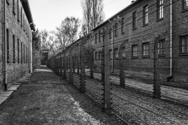 Auszchwitz Birkenau Lengyelország 2022 Június Auschwitzi Náci Koncentrációs Tábor Laktanyái — Stock Fotó