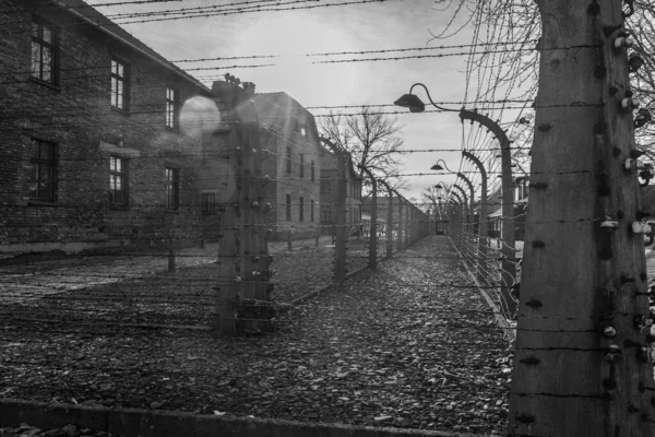 Auschwitz Birkenau Polska Stycznia 2022 Baraki Druty Nazistowskiego Obozu Koncentracyjnego — Zdjęcie stockowe