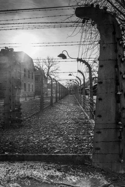 Auschwitz Birkenau Poland Hazi Ran 2022 Auschwitz Naziler Toplama Kampı — Stok fotoğraf