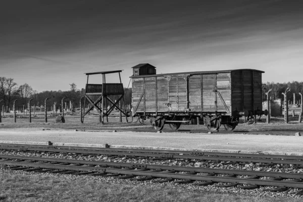 Auschwitz Birkenau Polónia Janeiro 2022 Comboio Real Usado Pelos Nazistas — Fotografia de Stock
