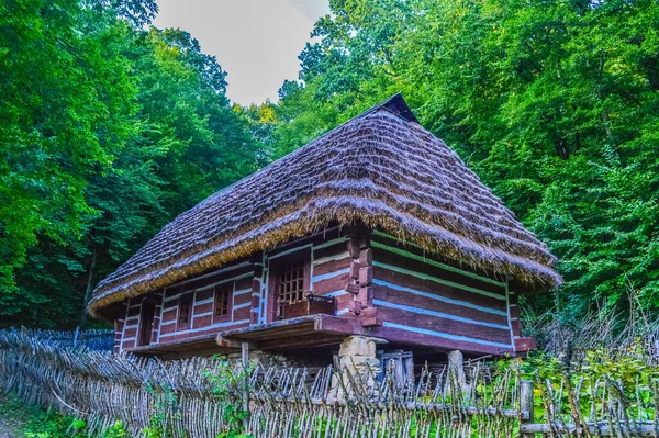 Cabaña Madera Bosque Sanok Polonia —  Fotos de Stock