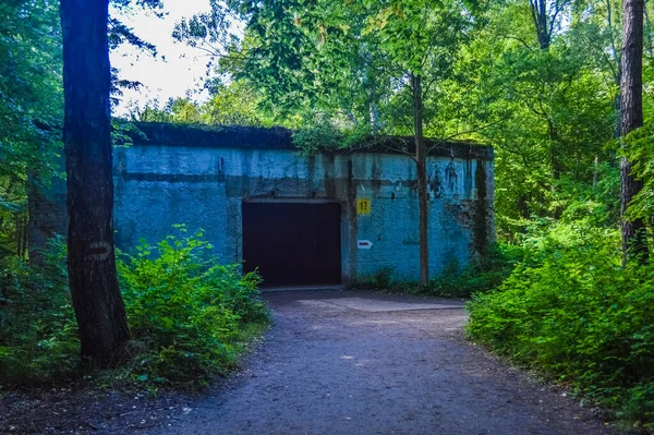 Gierloz 2018 Wolfs Lair Bunker Whe — 스톡 사진