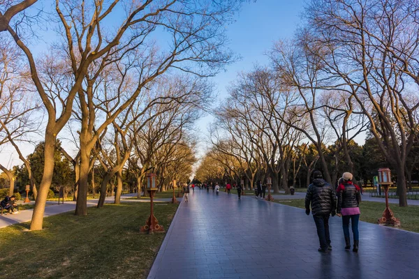 Pekin, Çin 'deki Cennet Tapınağı