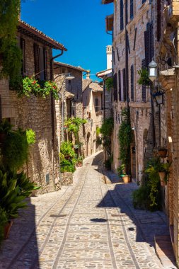 Spello, Umbria, İtalya 'nın tarihi merkezinde çiçekleri ve bitkileri olan güzel bir ortaçağ caddesi.