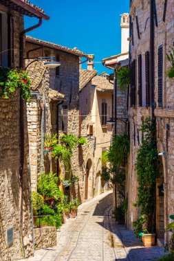 Spello, Umbria, İtalya 'nın tarihi merkezinde çiçekleri ve bitkileri olan güzel bir ortaçağ caddesi.