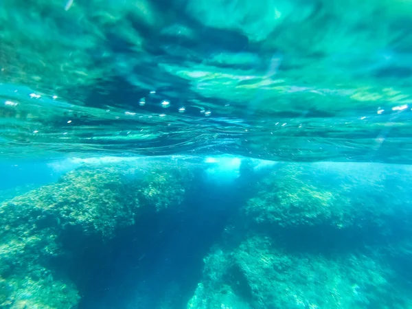 Onderwaterlandschap Met Vissen Wilde Dieren Adriatische Zee Van Salento Apulië — Stockfoto