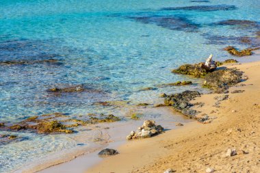 Pescoluse Sahili, Salento, Apulia, İtalya 'da kristal berrak su