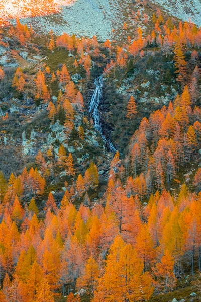 Vattenfall Som Flyter Skogen Hösten Italienska Alperna — Stockfoto