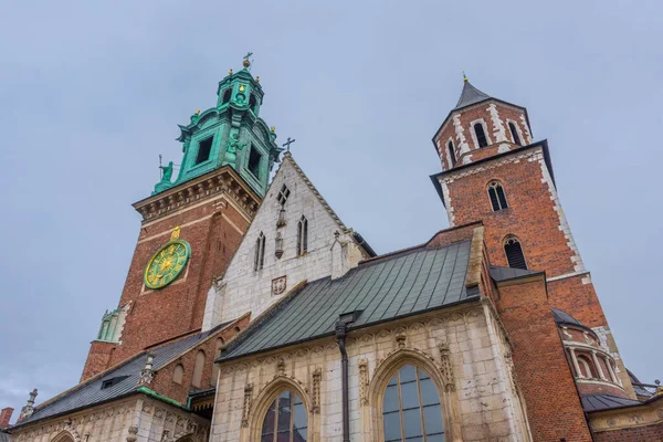 Polonya Nın Krakow Wawel Katedrali — Stok fotoğraf