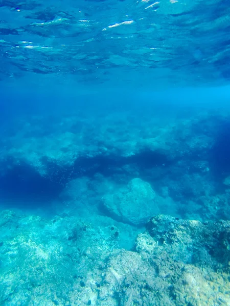 Underwater Landscape Fishes Wildlife Adriatic Sea Salento Apulia Italy — Stock Photo, Image