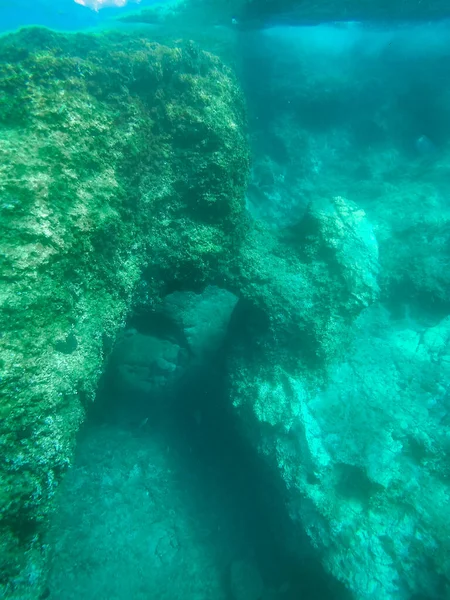 Vízalatti Táj Halakkal Élővilággal Adriai Tengeren Salento Apulia Olaszország — Stock Fotó