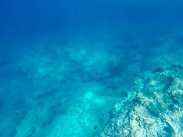 Unterwasserlandschaft Mit Fischen Und Wildtieren Der Adria Des Salento Apulien — Stockfoto
