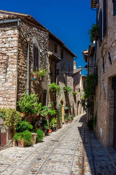Spello, Umbria, İtalya 'nın tarihi merkezinde çiçekleri ve bitkileri olan güzel bir ortaçağ caddesi.