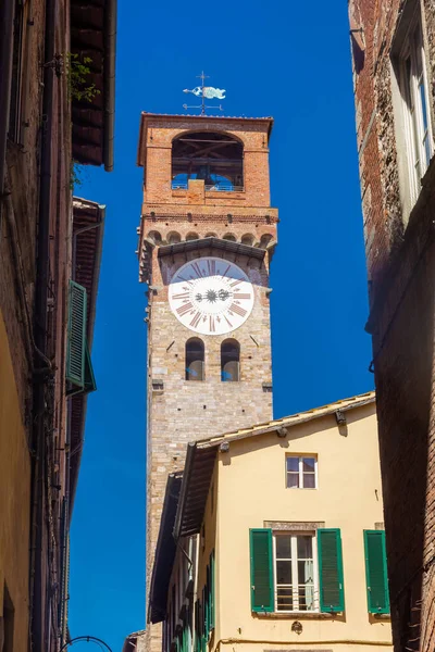 Lucca tarihi merkezinde Guinigi Kulesi, İtalya
