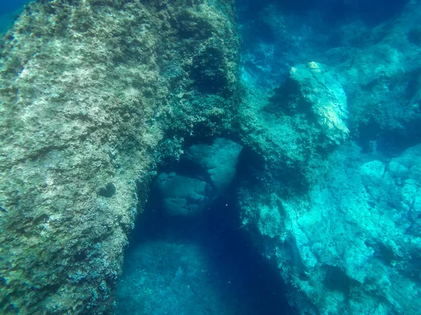 Vízalatti Táj Halakkal Élővilággal Adriai Tengeren Salento Apulia Olaszország — Stock Fotó