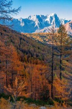 İtalya 'nın Aosta Vadisi' ndeki ahşap ve Monte Rosa (Pembe Dağ) ile güzel sonbahar manzarası