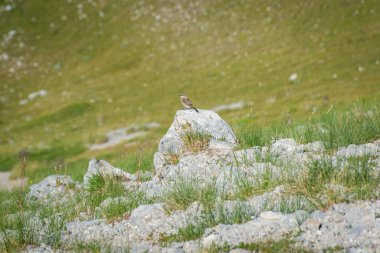 Campo Imperatore, Abruzzo, İtalya 'daki Granan Sasso Ulusal Parkı' nın güzel manzarası