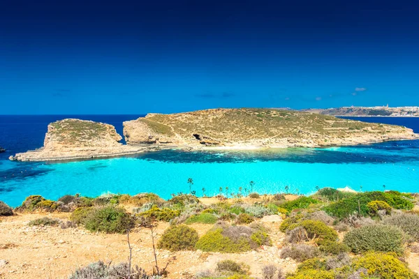 Incroyable Eau Cristalline Dans Lagune Bleue Île Comino Malte — Photo
