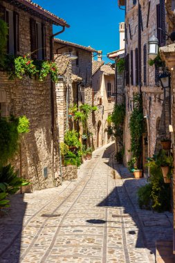 Spello, Umbria, İtalya 'nın tarihi merkezinde çiçekleri ve bitkileri olan güzel bir ortaçağ caddesi.