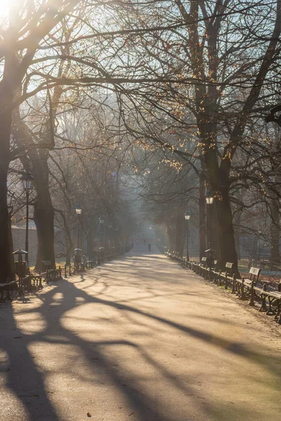 Krakow Poland January 2022 Foggy Morning Planty Park Winter — Stok fotoğraf