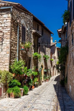Spello, Umbria, İtalya 'nın tarihi merkezinde çiçekleri ve bitkileri olan güzel bir ortaçağ caddesi.