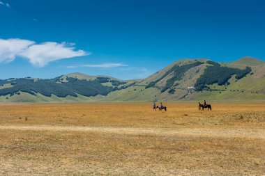 CASTELLUCCIO DI NORCIA, İtalya, 26 AĞUSTOS 2021: Umbria Vadisi 'ndeki atlar