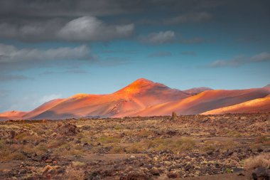 Wild volcanic landscape of the Timanfaya National Park, Lanzarote, Canary Islands, Spain