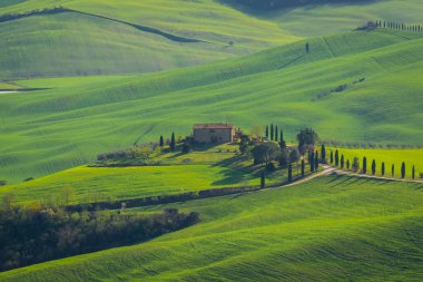 Farm in the green hills of Tuscany countryside, Italy