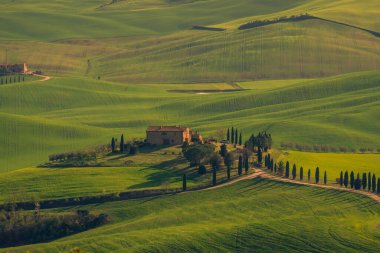 Farm in the green hills of Tuscany countryside, Italy