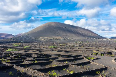 Landscape of the volcanic vineyards of La Geria, in Lanzarote, Canary Islands, Spain