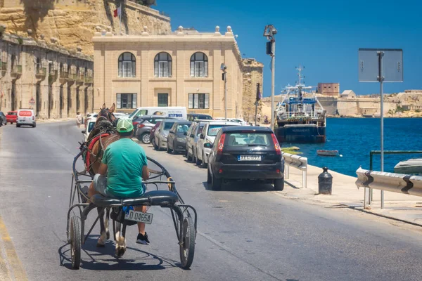 Valletta Malta Mei 2022 Man Een Paard Gig — Stockfoto
