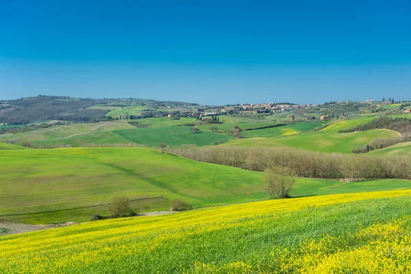Prachtig Groen Landschap Van Het Toscaanse Platteland Italië — Stockfoto