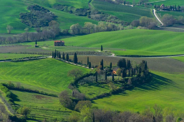 Montepulciano Itálie Dubna 2022 Krásná Krajina Cypřiši — Stock fotografie