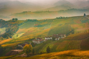 Langhe 'deki muhteşem sonbahar manzarası. Piedmont, İtalya' daki ünlü üzüm bağı bölgesi.