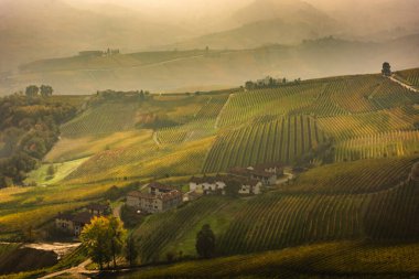 Langhe 'deki muhteşem sonbahar manzarası. Piedmont, İtalya' daki ünlü üzüm bağı bölgesi.