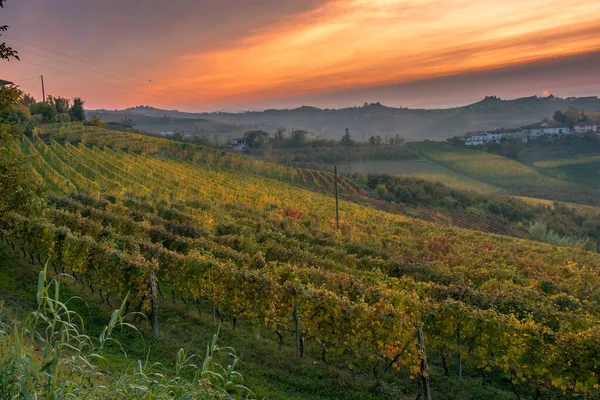 Amazing Sunset Langhe Famous Vineyard Unesco Area Piedmont Italy Autumn — Stock Photo, Image