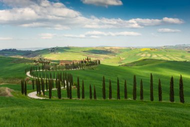 Farmhouse at the end of a country road flanked with cypresses in the middle among the hills of Tuscany, Italy