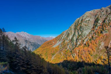 İtalya 'nın Aosta Vadisi' ndeki ahşap ve Monte Rosa (Pembe Dağ) ile güzel sonbahar manzarası