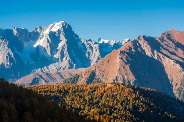 意大利奥斯塔谷的美丽的秋天风景 森林和山罗莎 粉红山 — 图库照片