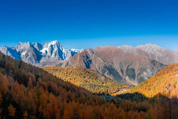 意大利奥斯塔谷的美丽的秋天风景 森林和山罗莎 粉红山 — 图库照片