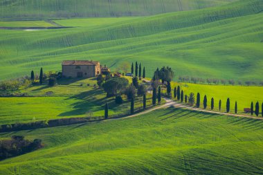 Farm in the green hills of Tuscany countryside, Italy