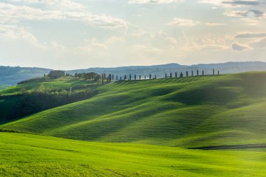 Green hills of the Tuscany countryside, Italy