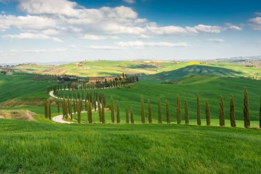 Farmhouse at the end of a country road flanked with cypresses in the middle among the hills of Tuscany, Italy
