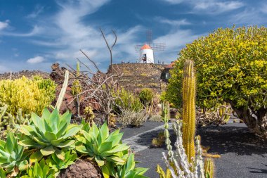 Lanzarote, Spain, 19 March 2022: The Cactus Garden, called 